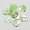 Dyed Natural Shell Beads SHEL-P004-06H-1