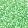 Transparent Glass Round Seed Beads X1-SEED-B001-05A-06-3