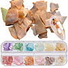 1 Set 12 Grid Nuggets Abalone Shell Nail Art Sequins for Woman Girls MRMJ-SP0001-06-1