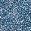TOHO 6/0 Round Beads SEED-TR06-0263-3