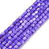 Natural Freshwater Shell Beads Strands SHEL-N003-33-A02-1