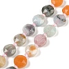 Natural Mixed Gemstone Beads Strands G-C116-A30-01-2