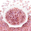 Frosted Glass Seed Beads SEED-N008-05C-2