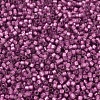 MIYUKI Delica Beads SEED-JP0008-DB2181-3