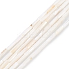 Natural Freshwater Shell Beads Strands X-SHEL-M018-10-2