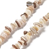 Natural Freshwater Shell Beads Strands X-G-M205-85B-1