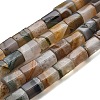 Natural Agate Beads Strands G-F820-H01-01-2
