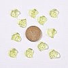 Transparent Acrylic Pendants X1-DBLA410-9-3