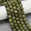 Natural TaiWan Jade Beads Strands G-K310-A23-10mm-01-2