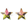 Glass Rhinestone Cabochons MRMJ-N029-04A-09-4