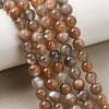Natural Grey Moonstone Beads Strands G-F632-24-02-01-2