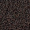 MIYUKI Round Rocailles Beads SEED-JP0008-RR0029-3