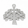 Non-Tarnish 201 Stainless Steel Pendants STAS-T008-049-1-1