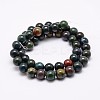 Natural Indian Bloodstone Beads Strands G-G735-33-6mm-2