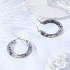 1 Pair 304 Stainless Steel Hoop Earrings For Women EJEW-LP0011-06C-3