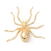 Halloween Alloy Rhinestone Brooches for Clothes LS-JEWB-P049-01G-2