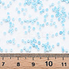 13/0 Glass Seed Beads SEED-T005-14A-A18-4