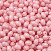 Baking Paint Glass Seed Beads SEED-C004-04D-3