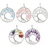 5Pcs 5 Styles Natural Amethyst & Rose Quartz & Aquamarine & Chakra Stone KK-HS0001-04-1