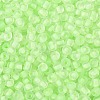 6/0 Luminous Glass Seed Beads SEED-NH0001-01K-4