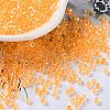 Glass Seed Beads SEED-S042-13A-05-1