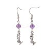 Natural Mixed Stone Dangle Earrings EJEW-JE02887-2