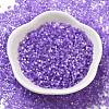 Imitation Cat Eyes Glass Seed Beads SEED-H003-03F-2