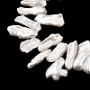 Natural Keshi Pearl Beads Strands PEAR-S020-J01-A-3