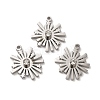 304 Stainless Steel Pendants STAS-A080-15P-1
