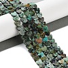 Natural African Turquoise(Jasper) Beads Strands G-M403-A26-02-2
