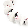 Handmade Lampwork Beads Strands LAMP-P066-05-5