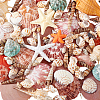 14 Styles Natural Shell Ornaments AJEW-PH0011-89-1