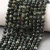 Natural Seraphinite Beads Strands G-K376-A02-5mm-1