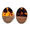 Transparent Resin and Walnut Wood Pendants RESI-T057-04D-2