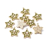 Brass Enamel Pendants KK-I661-03G-E-1