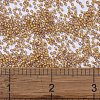 MIYUKI Delica Beads X-SEED-J020-DB2043-4