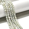 Natural Myanmar Jadeite Beads Strands G-L595-C01-01A-2