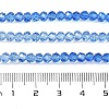 Transparent Painted Glass Beads Strands DGLA-A034-T4mm-A01-3