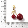 Brass Resin Pendants KK-D383-01G-03-3