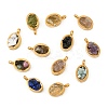 Natural Mixed Gemstone Chip 304 Stainless Steel Oval Charms KK-P300-10G-1