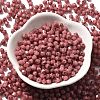 Picasso Baking Paint Glass Seed Beads SEED-A032-02A-06-2