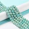 Natural Amazonite Beads Strands G-J400-E11-07A-2