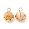 Natural Picture Jasper Charms G-K325-01G-06-2