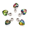 Large Hole Alloy European Dangle Charms PALLOY-JF00041-01-2