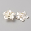 Resin Beads Caps RESI-CJC0010-16-2