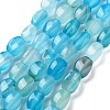 Natural Agate Beads Strands G-G172-01J-2