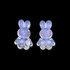 Transparent Acrylic Beads OACR-N008-172F-3
