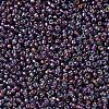 MIYUKI Round Rocailles Beads X-SEED-G007-RR1013-3