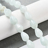 Natural Amazonite Beads Strands G-P520-B10-01-2