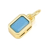 Brass Pave Sky Blue Cubic Zirconia Charms CU-CBA4A93-02I-G-2